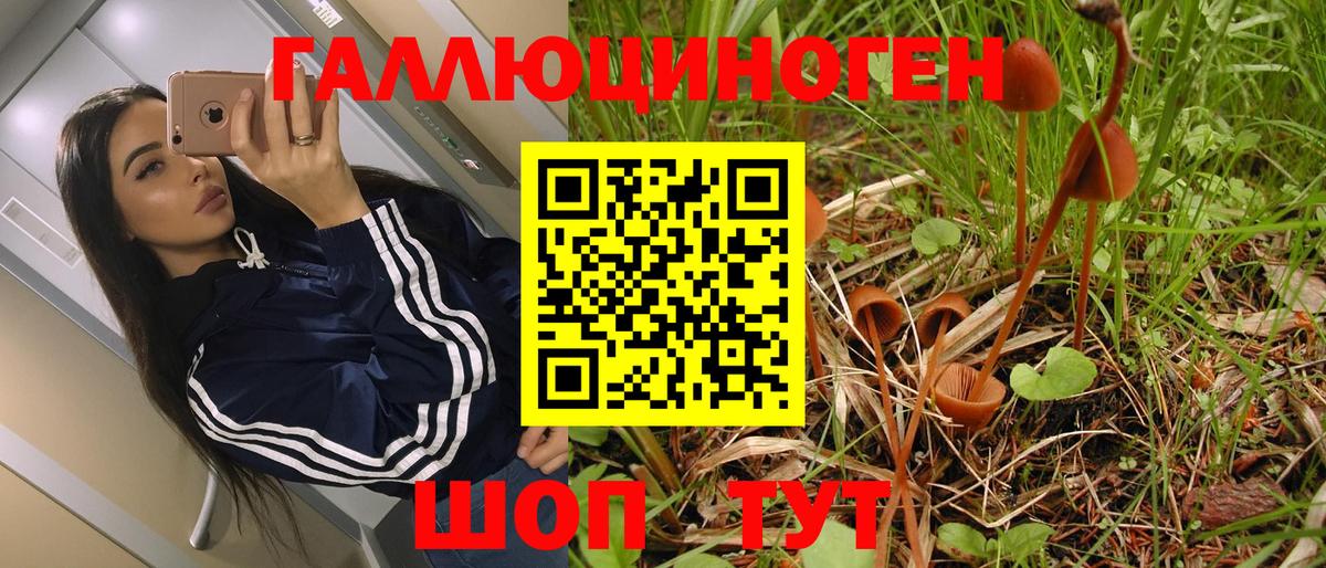 Псилоцибиновые грибы GOLDEN TEACHER Челябинск