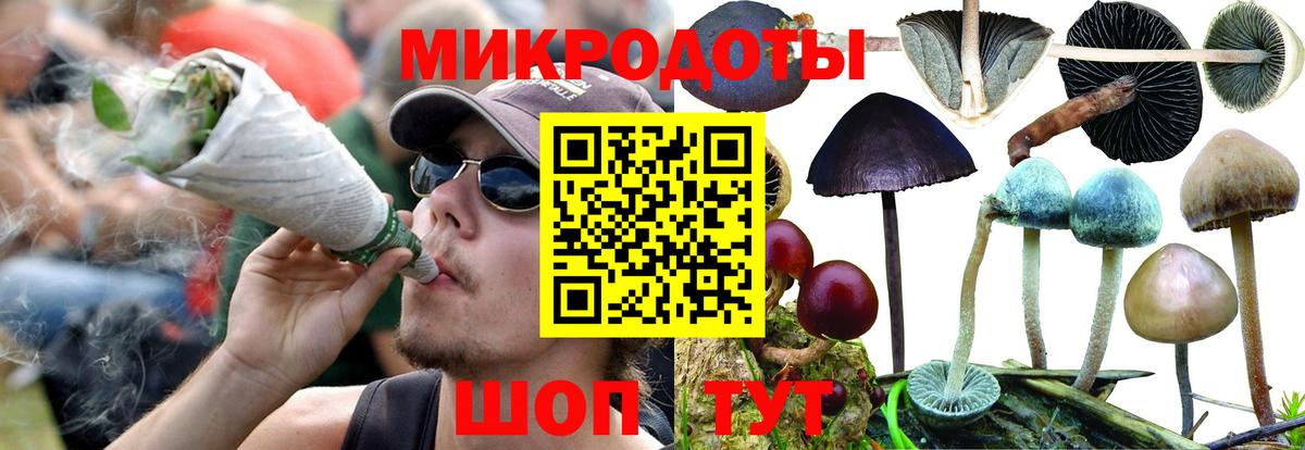 Галлюциногенные грибы MAGIC MUSHROOMS  Вход с VPN  Челябинск 